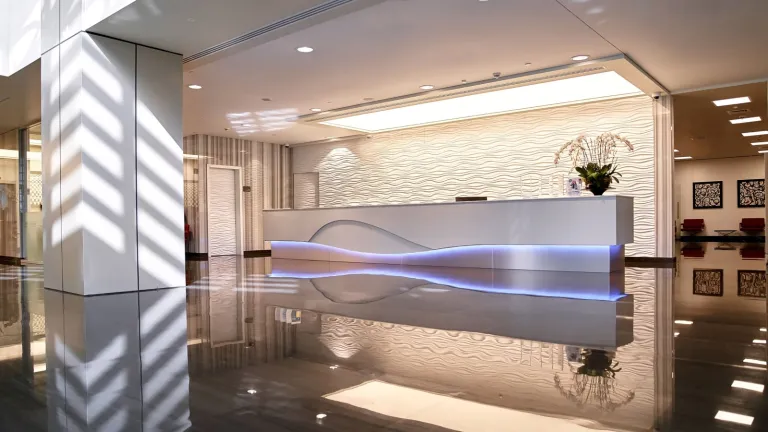 Case Study: Clemenceau Medical Center